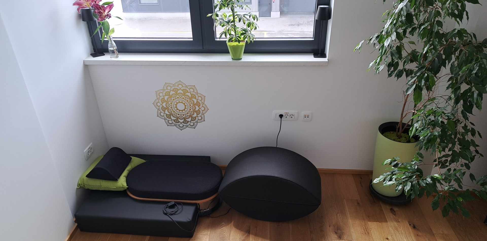 Shumann Tesla regeneracija